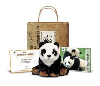 6 Eco-Friendly Gift Ideas for Kids Image